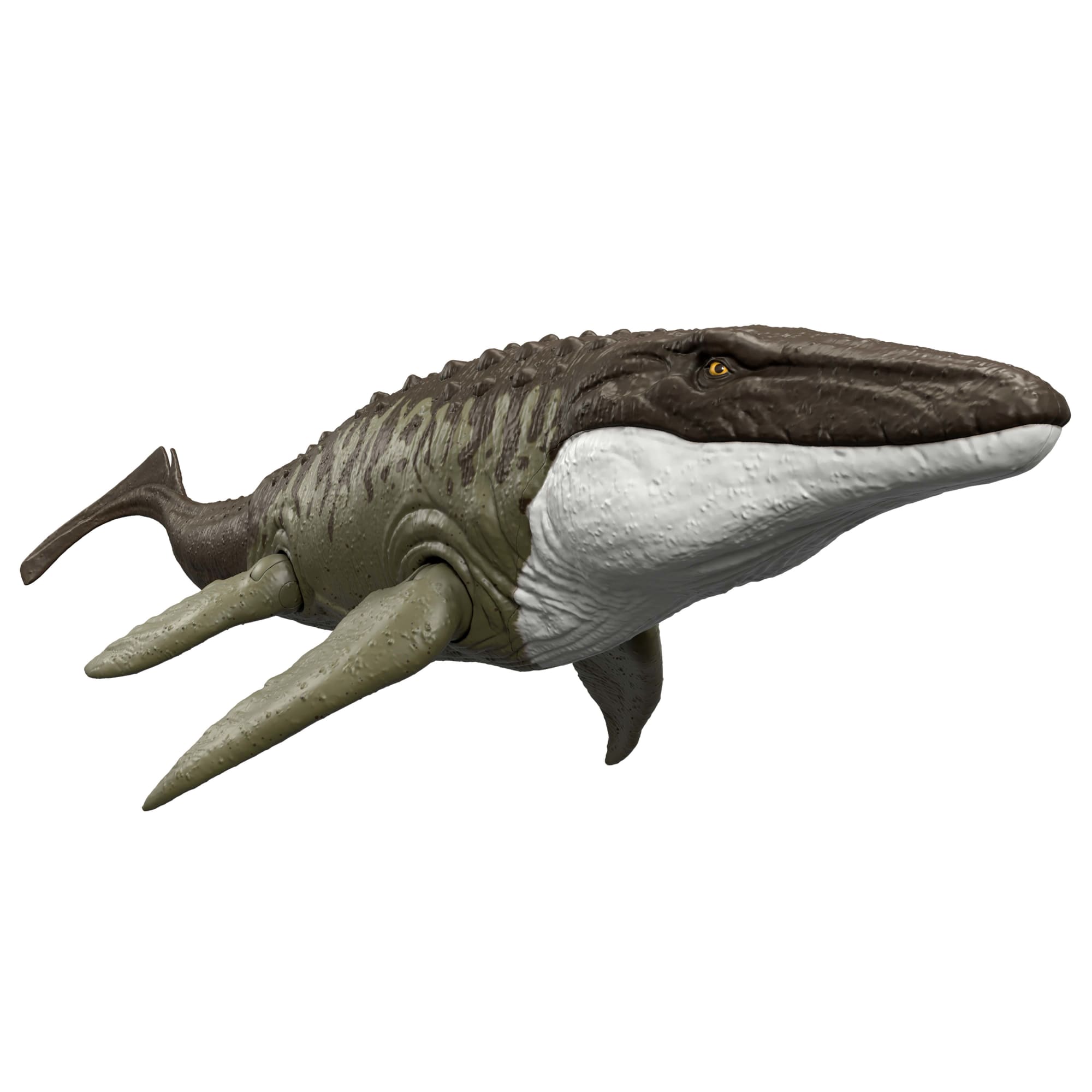 3d6a9e71bbdc6c08788fed173f14ed9e9bd0eb82_21880caf-1cec-4215-a362-1ca1e8408c44.jpg