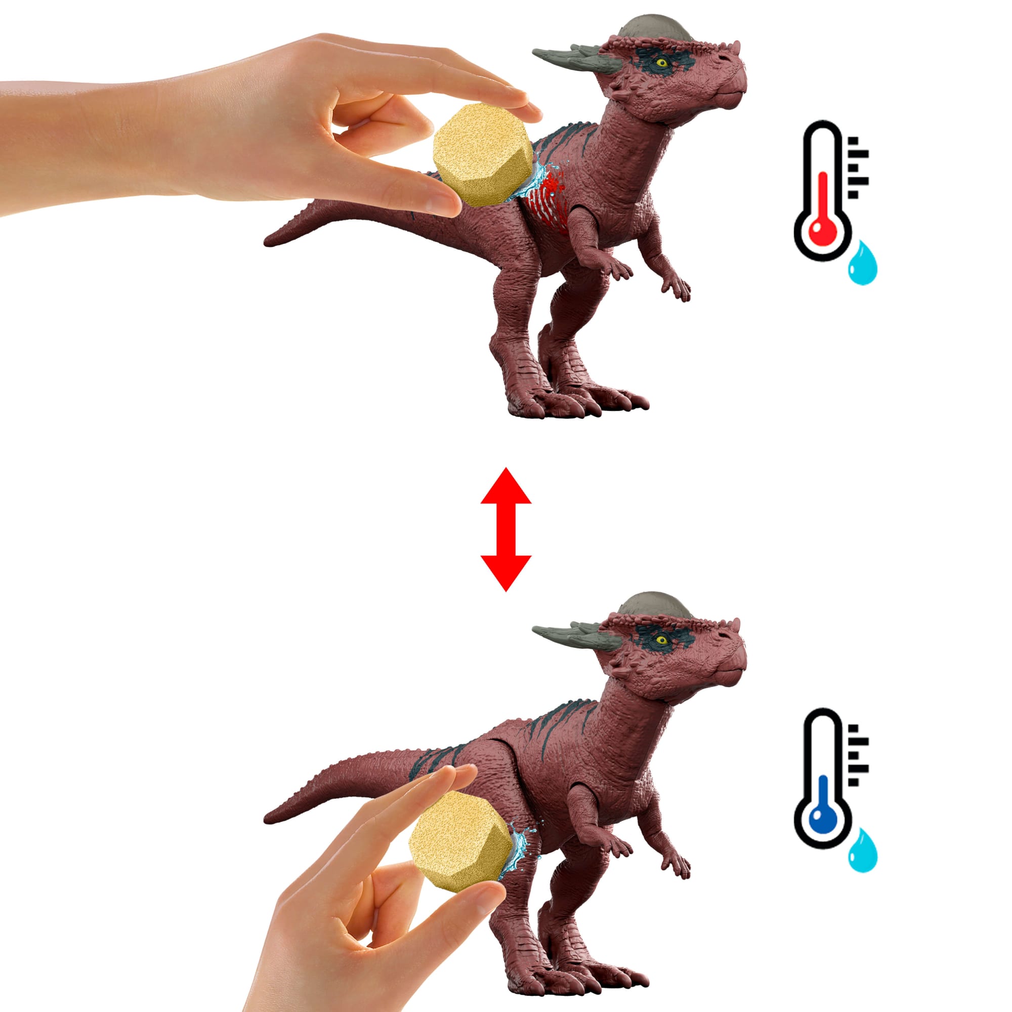 a5d5a4288dd6b64eab6d634577690799724c4cf1_599c3d4e-8596-48fe-ae8a-32ef4cae28ce.jpg
