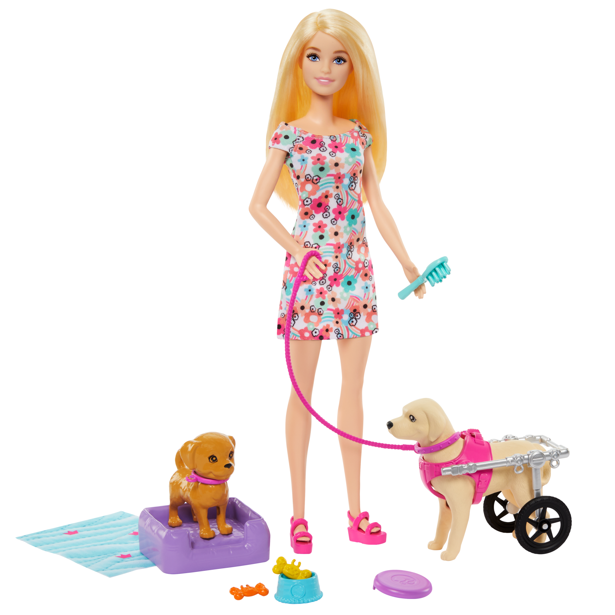 fisher price Barbie  Poup??e, Chiot et Chien Dans Un Fauteuil Roulant, Accessoire
