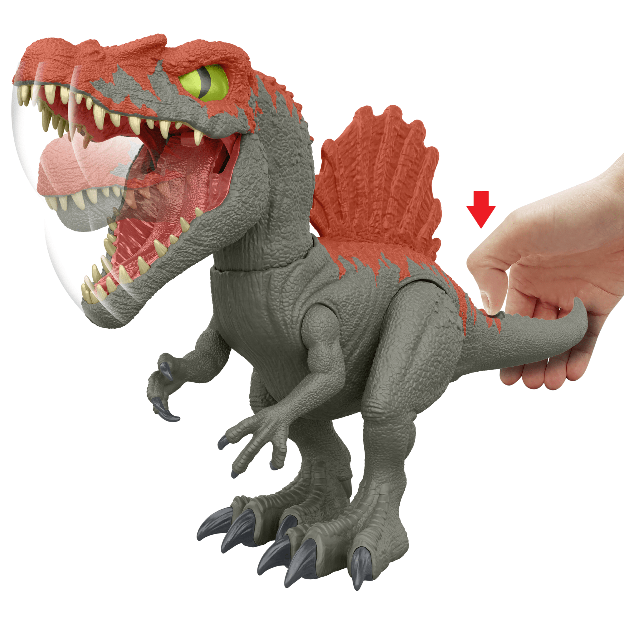 izr9pwbbutvy8y5lwyid.png