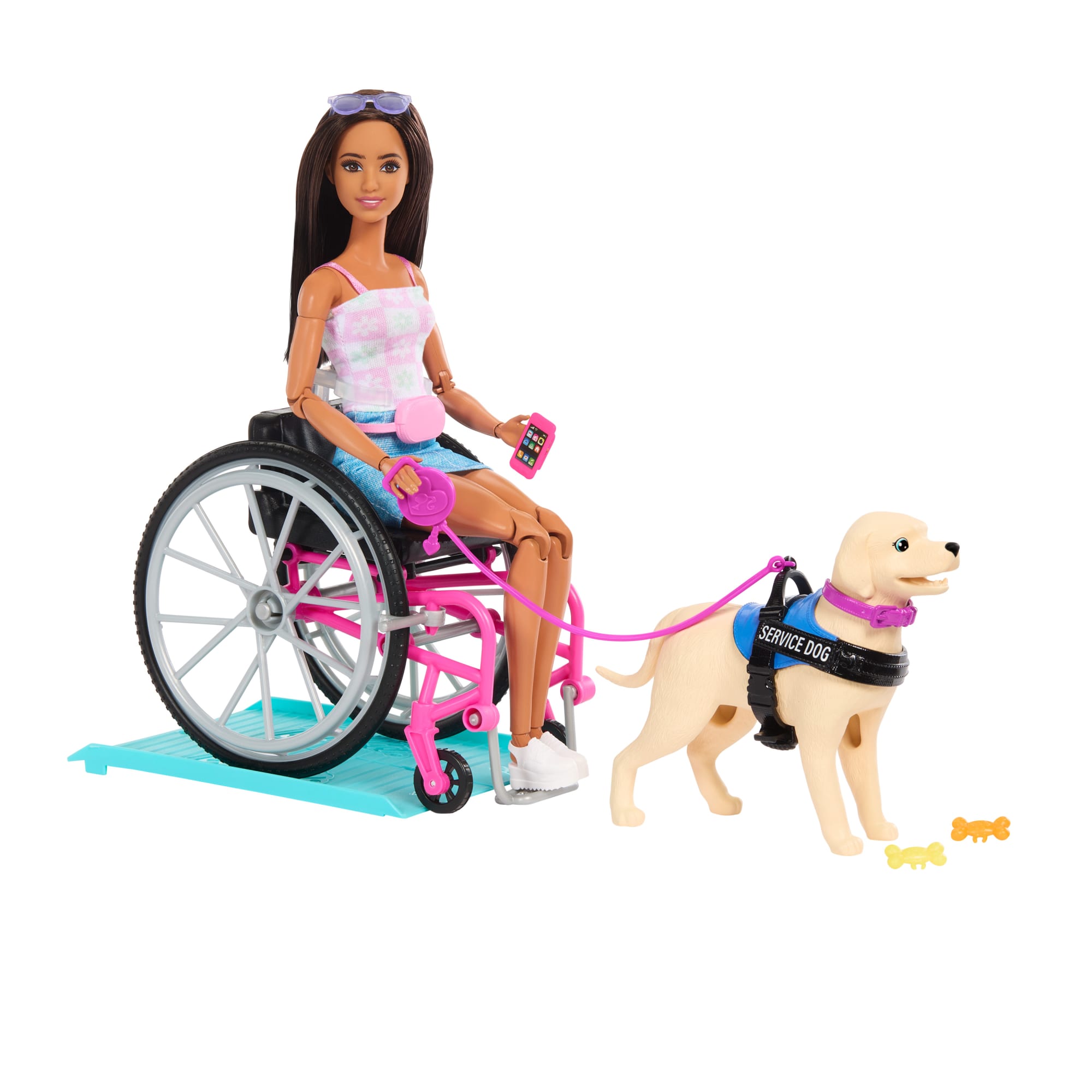 fisher price Coffret de Poup??e Barbie et Chien D??Assistance Avec Poup??e Aux Cheveux Bruns
